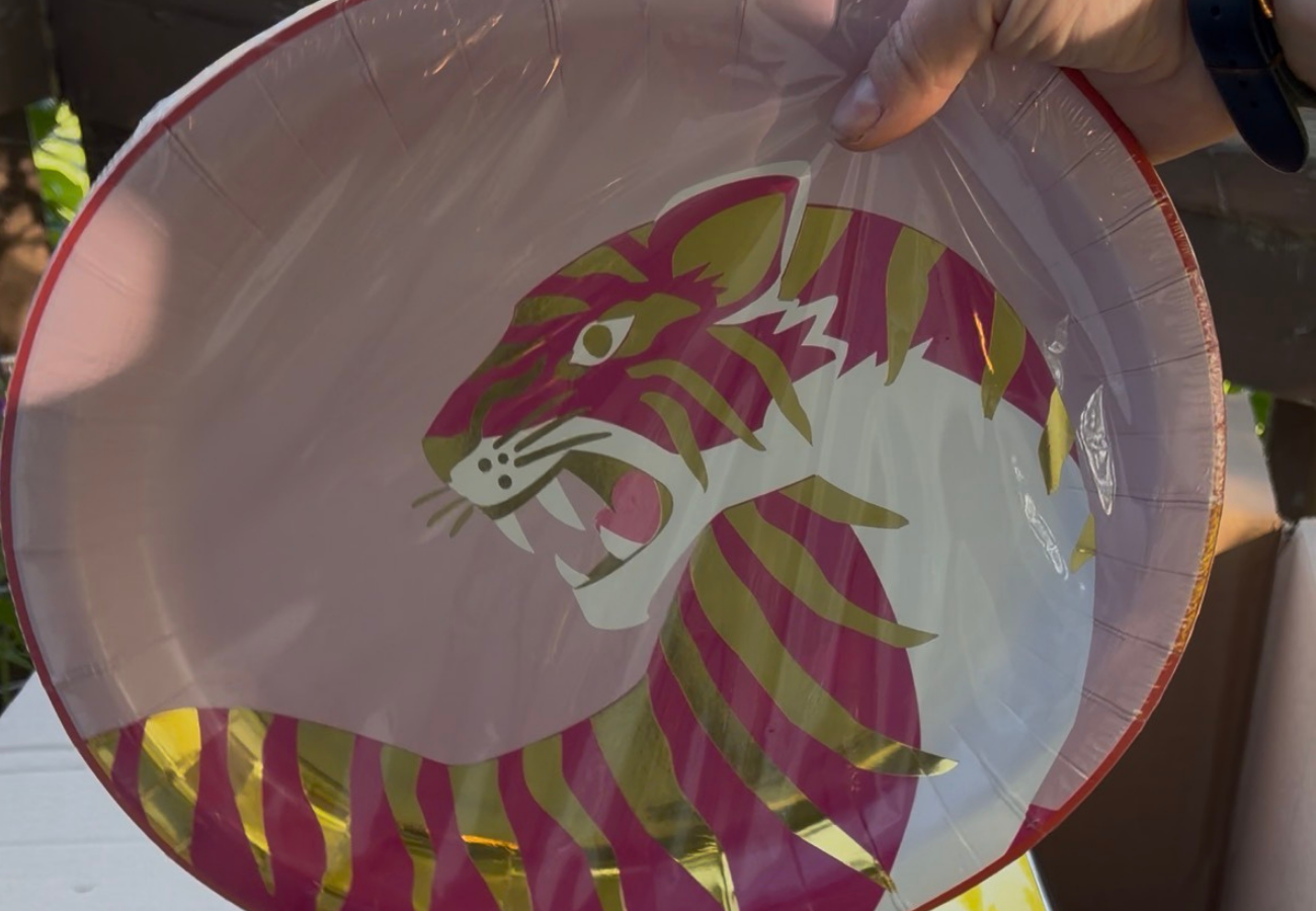 Pink paper plates with pink and gold tiger from Michael's Pink Jungle Collections